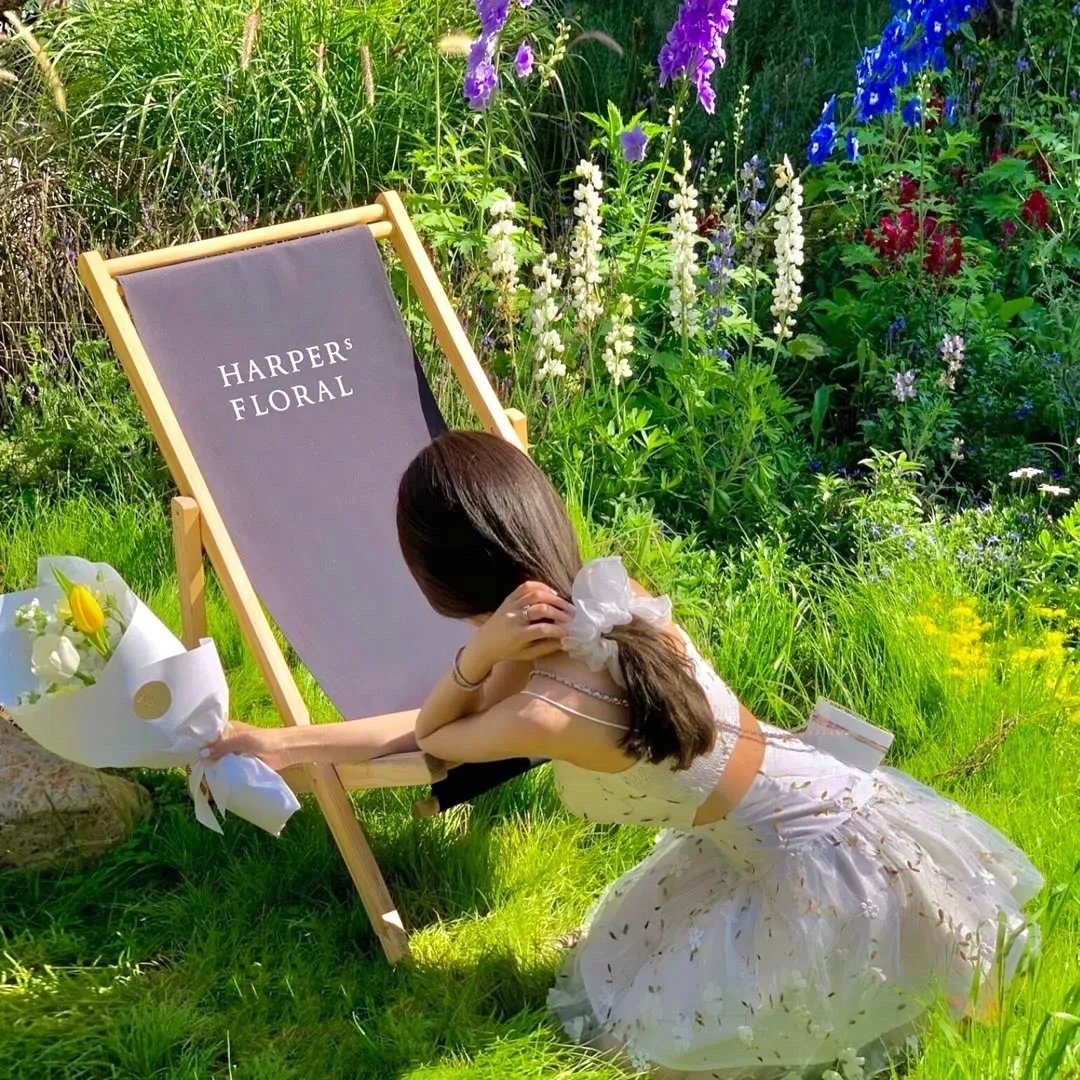 众叛亲离也爱你